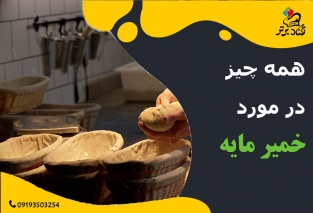 نکات مهم در استفاده و خرید خمیر مایه 